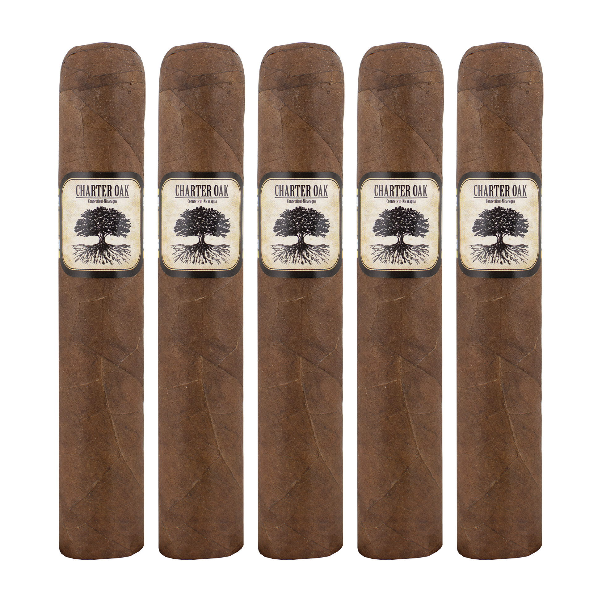 Charter Oak Habano Rothschild Cigar - 5 Pack